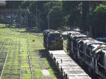 MRSL 3916